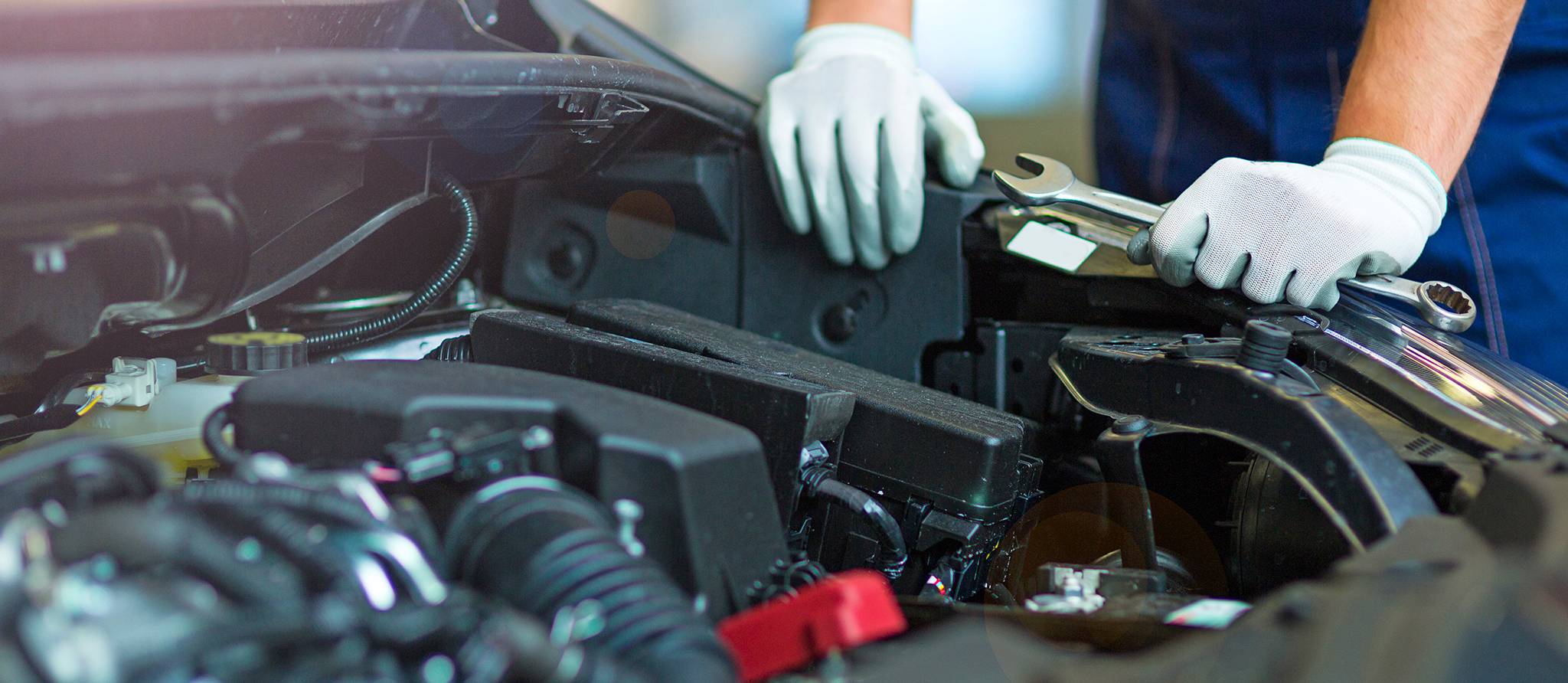 Image de la galerie 7